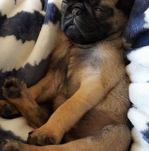 Meet your Posher, Deirdre